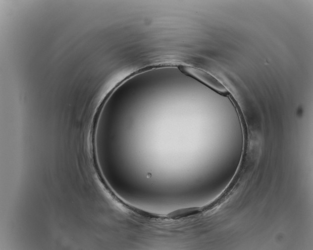 X0000094341293200711091420