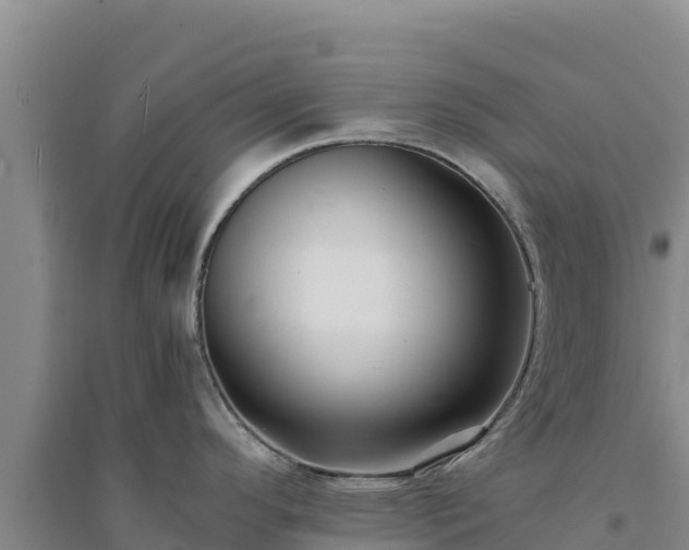 X0000094341296200711091420