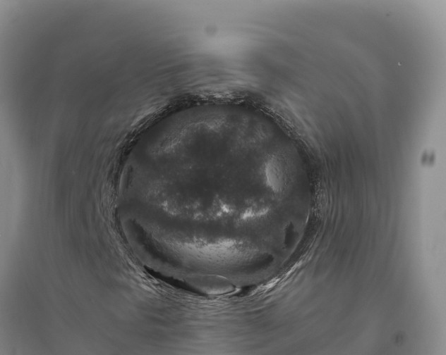 X0000094341297200711091419