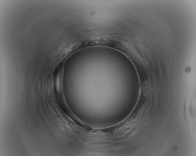 X0000094341298200711091419