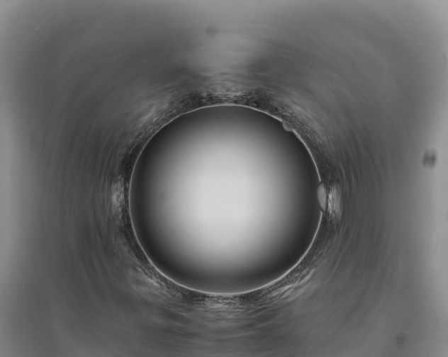 X0000094341299200711091419