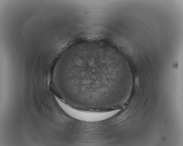 X0000094341300200711091419