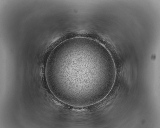 X0000094341301200711091419