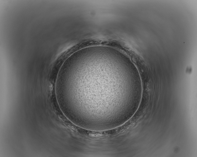 X0000094341302200711091420