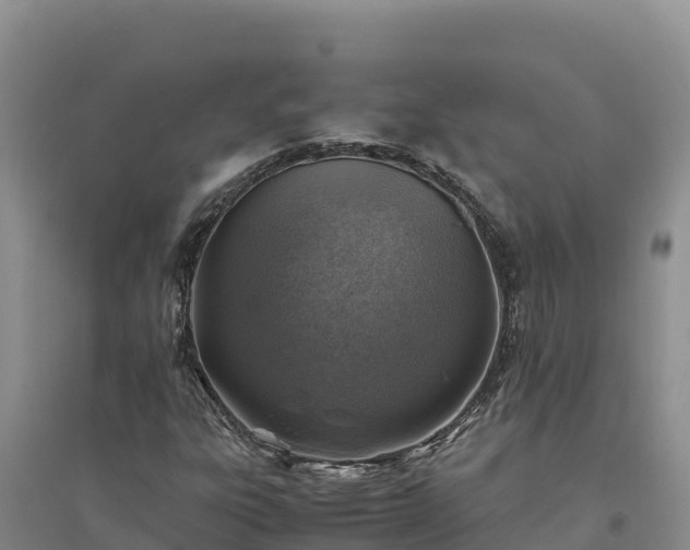X0000094341303200711091420