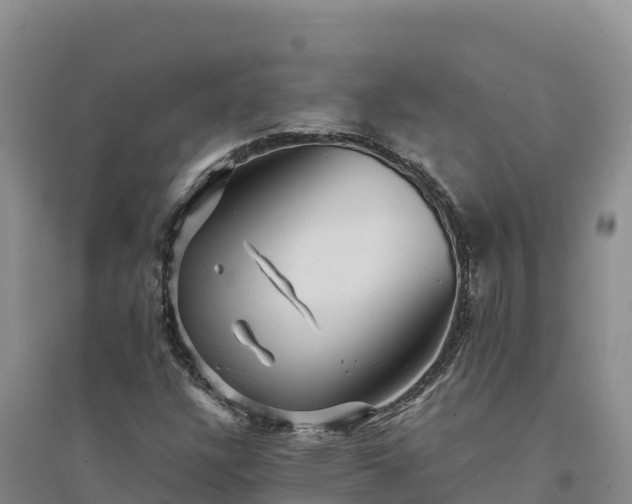 X0000094341304200711091420