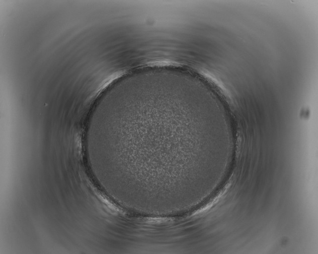 X0000094341305200711091420