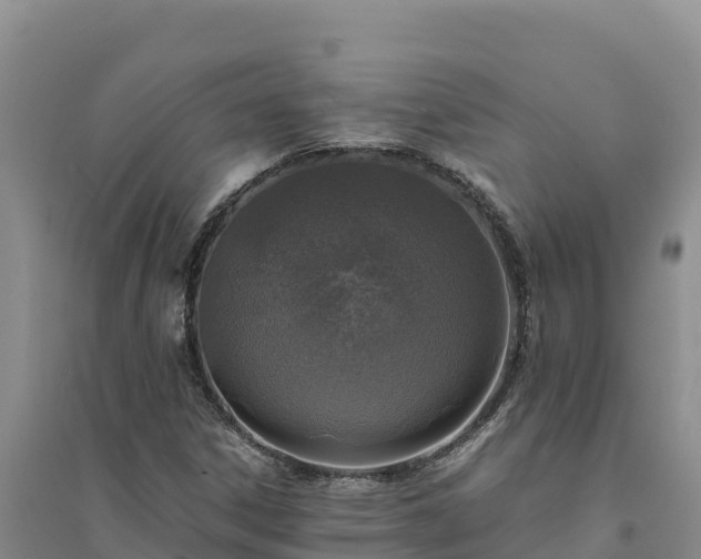 X0000094341306200711091420
