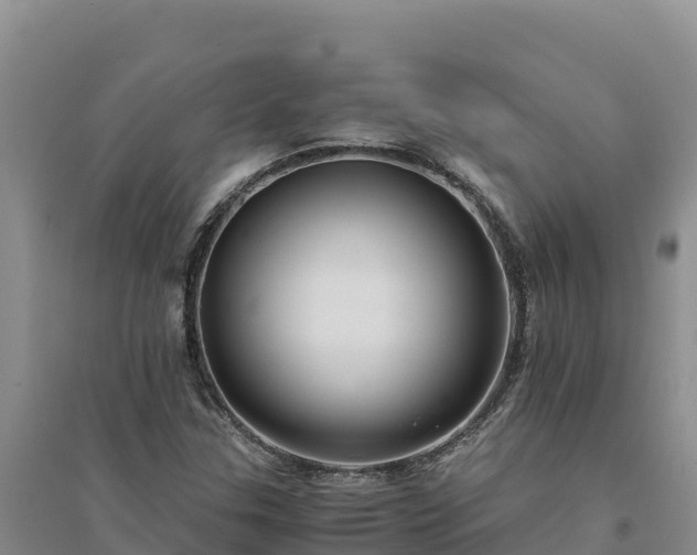 X0000094341307200711091420