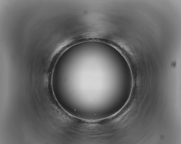 X0000094341309200711091420