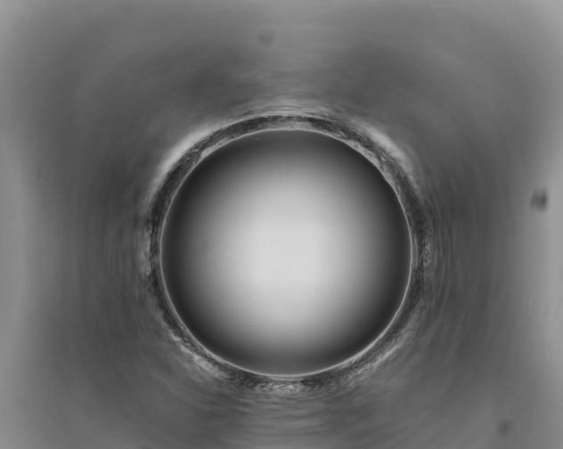 X0000094341310200711091420
