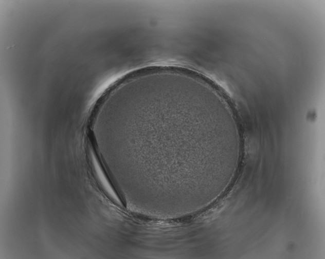 X0000094341311200711091420
