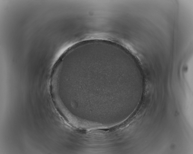 X0000094341312200711091420