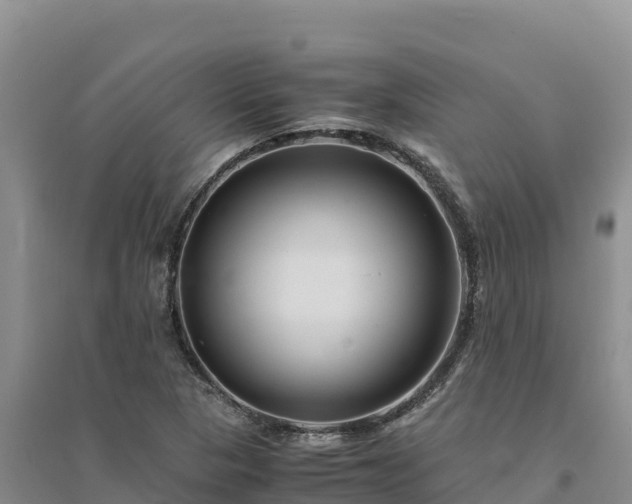 X0000094341313200711091420
