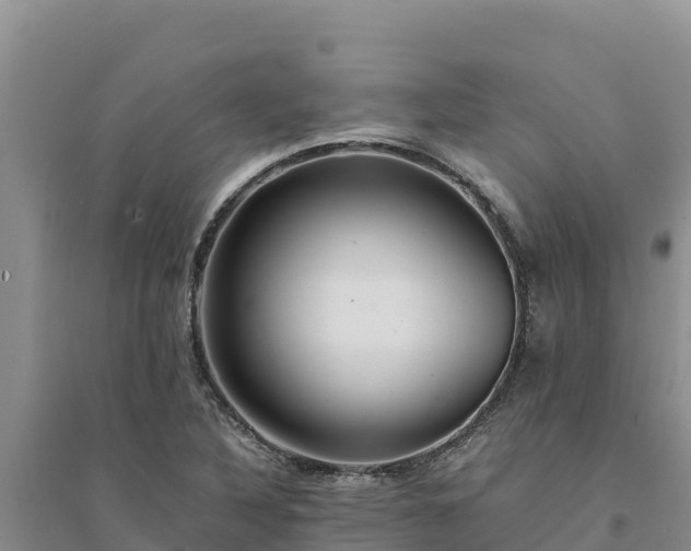 X0000094341316200711091420