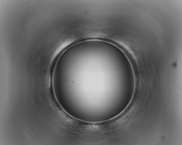 X0000094341317200711091420