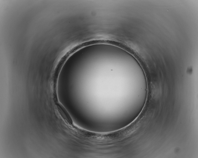X0000094341318200711091420
