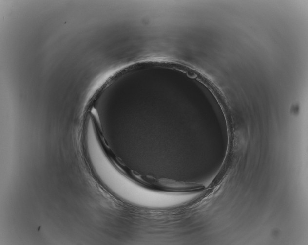 X0000094341319200711091420