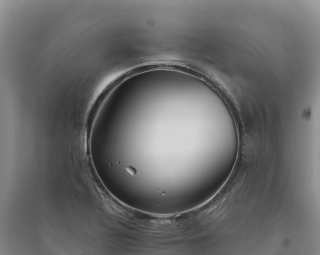 X0000094341320200711091420