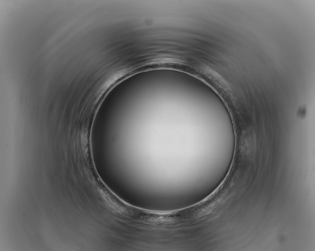 X0000094341321200711091420