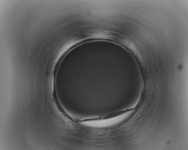 X0000094341323200711091420