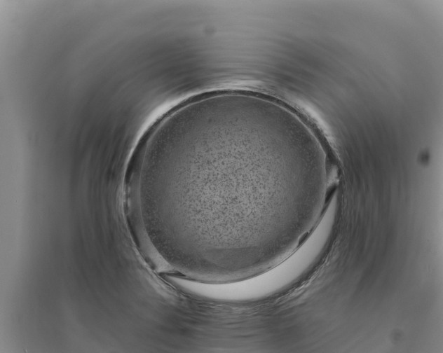 X0000094341324200711091420