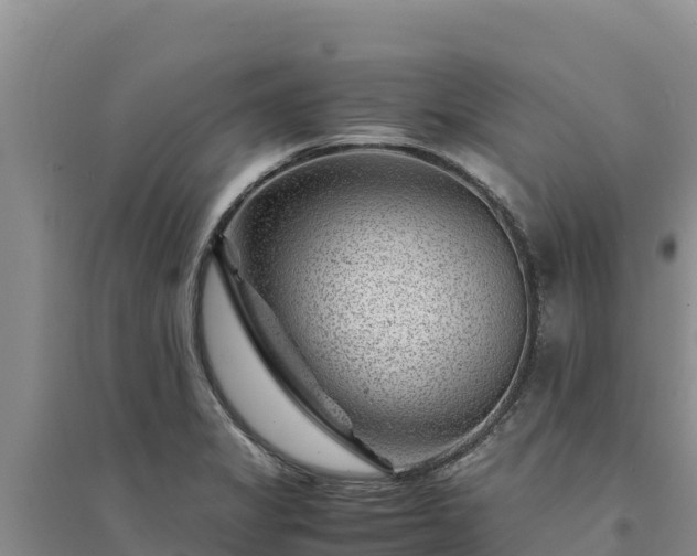 X0000094341325200711091420