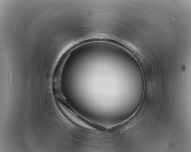 X0000094341326200711091420