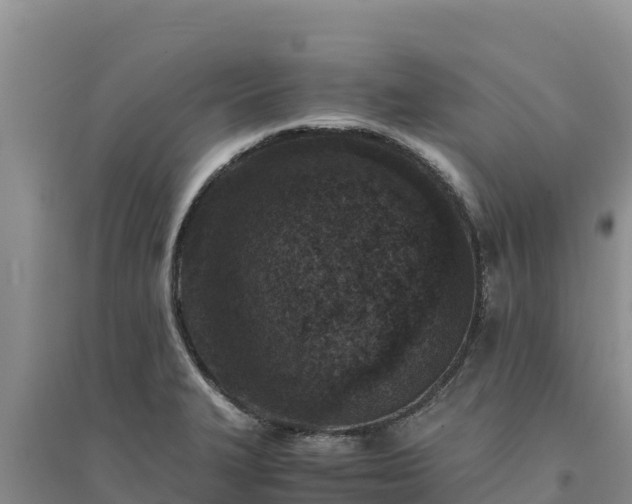 X0000094341327200711091420