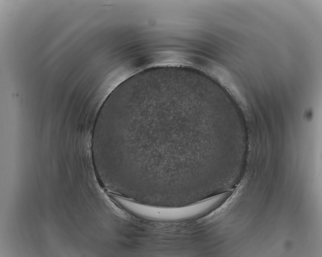 X0000094341329200711091420