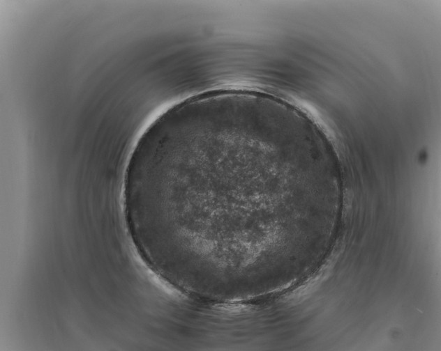 X0000094341331200711091420