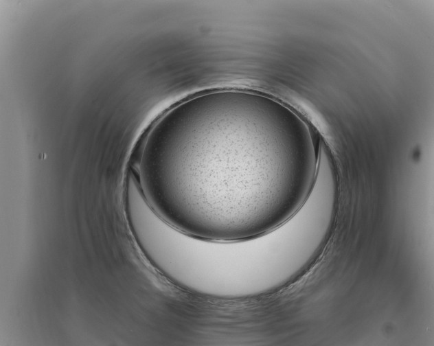 X0000094341332200711091420