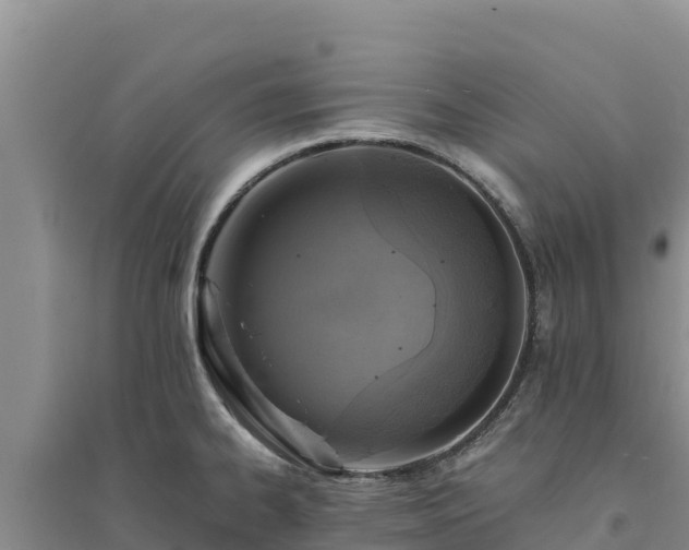 X0000094341334200711091420