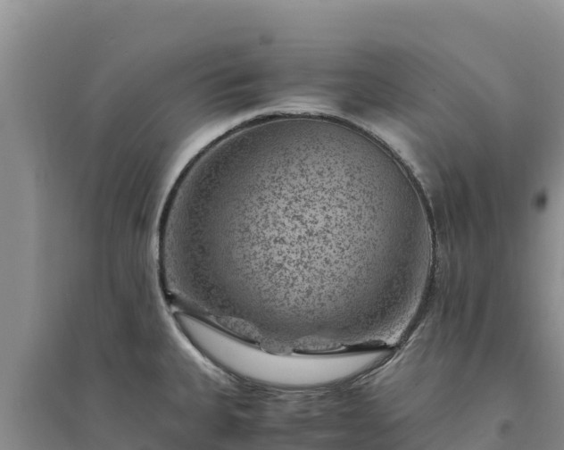 X0000094341335200711091420
