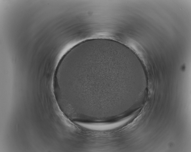 X0000094341336200711091420