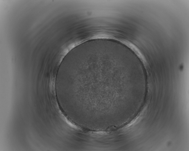 X0000094341337200711091420