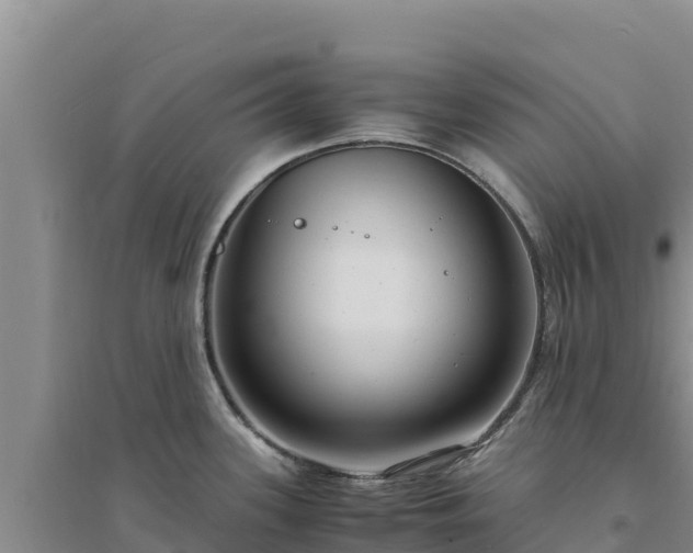 X0000094341339200711091420