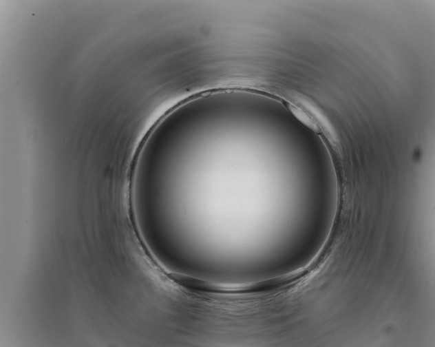 X0000094341340200711091420