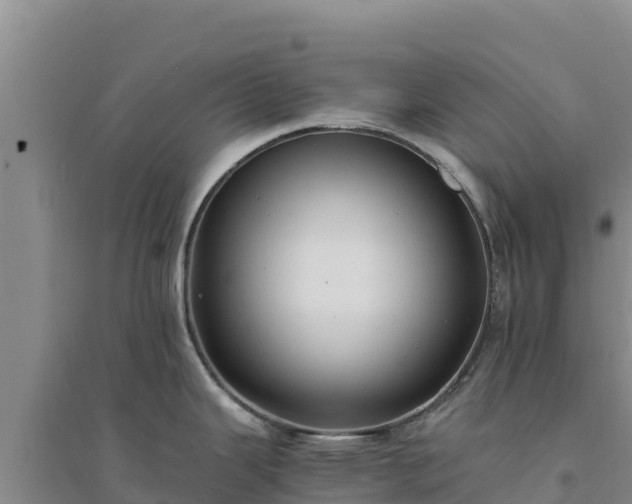 X0000094341343200711091420