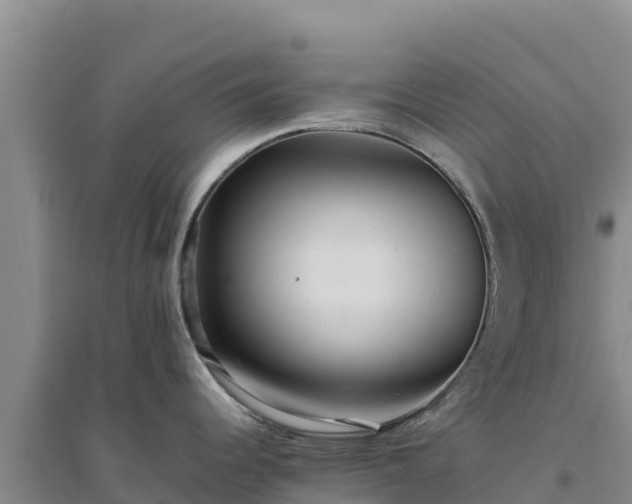 X0000094341344200711091420