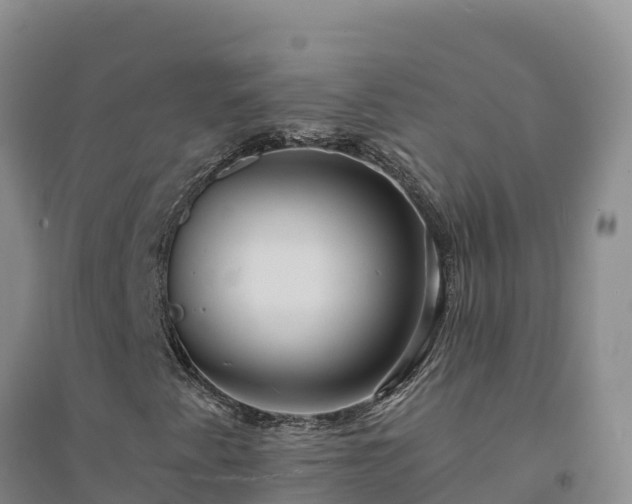 X0000094341345200711091419