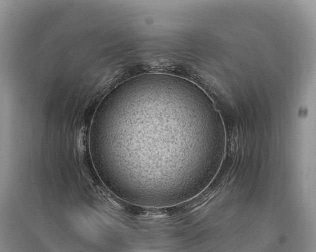 X0000094341346200711091419
