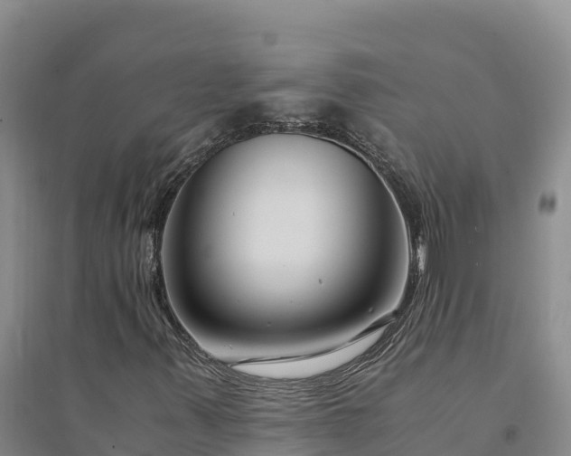 X0000094341347200711091419