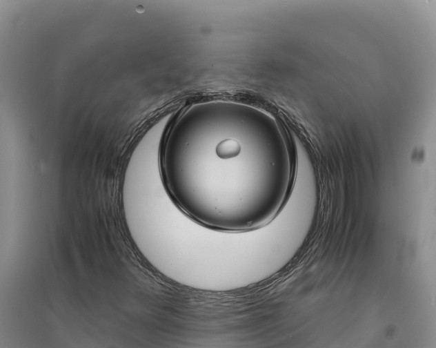X0000094341348200711091419