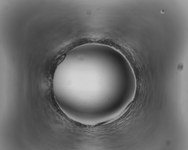 X0000094341349200711091419
