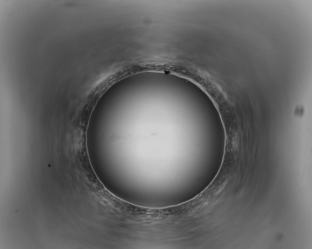 X0000094341350200711091419