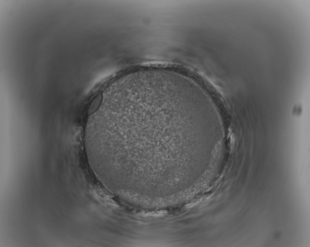X0000094341351200711091419