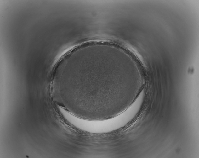 X0000094341352200711091419