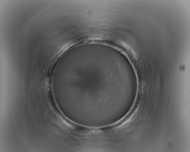 X0000094341353200711091419