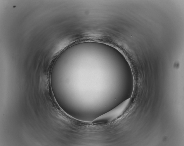 X0000094341354200711091419